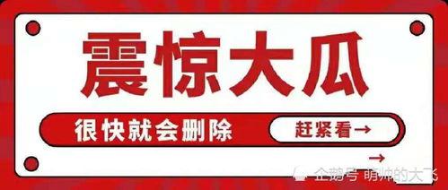 娱乐圈八卦吃瓜聊天记录,明星私生活大曝光